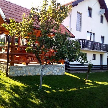 Apartments Dale Smoljanac Exterior foto